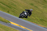 PJ-Motorsport-2019;anglesey-no-limits-trackday;anglesey-photographs;anglesey-trackday-photographs;enduro-digital-images;event-digital-images;eventdigitalimages;no-limits-trackdays;peter-wileman-photography;racing-digital-images;trac-mon;trackday-digital-images;trackday-photos;ty-croes